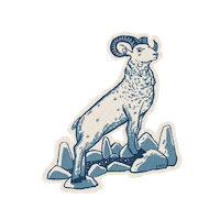 jamesreads zodiac astrology horoscope aries Sticker