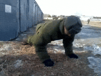 soldier pushups GIF