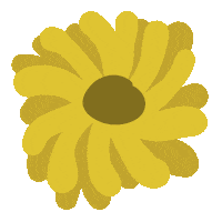 flower spring Sticker by dasherzallerliebste