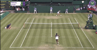 Gauff drop volley winner