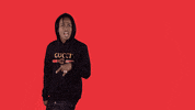 Hit Them Folks Yes GIF by Rich the Kid