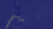 Baseball GIF by Charros de Jalisco