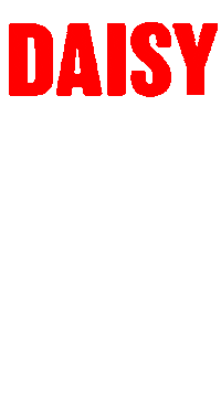 daisy daisyfestival Sticker by Duikboot Festival