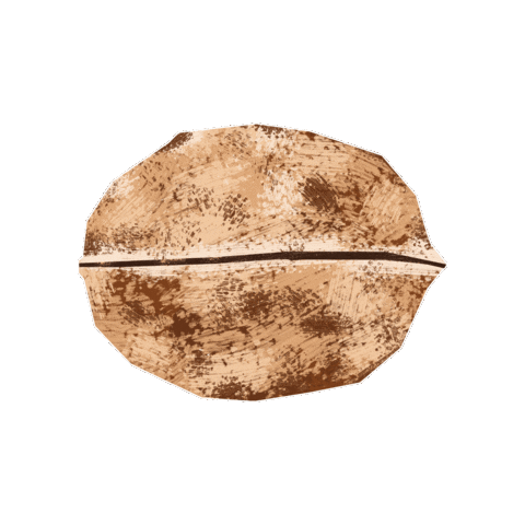 Walnut Sticker by Evoolution
