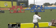 National Football League GIF by NFL