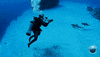 Sylvia Earle Ocean GIF by Mission Blue