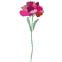 Fleur Sticker