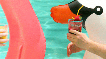 Video gif. Clinking their fruity cocktails together two men sit in giant floaties in a swimming pool, one a swan and the other a flamingo. They toast, then take a sip.