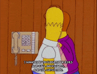 homer simpson work GIF