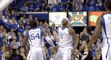 secnetwork happy sports basketball nba GIF