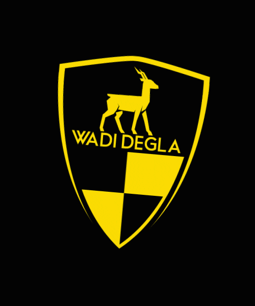 WadiDeglaClubs club egypt clubs مصر GIF