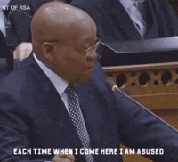 Insulting What Did I Do GIF
