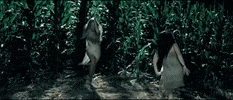 you and i music video GIF by Lady Gaga