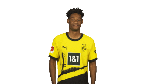 Borussia Dortmund Thumbs Up Sticker by Bundesliga