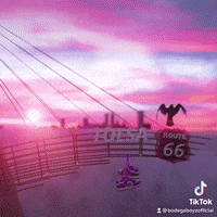 BodegaBoyz  GIF