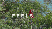 GIF by Sony Music Colombia