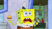 season 9 GIF by SpongeBob SquarePants