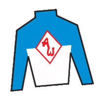 Horses Jockey Sticker by Kentucky Derby