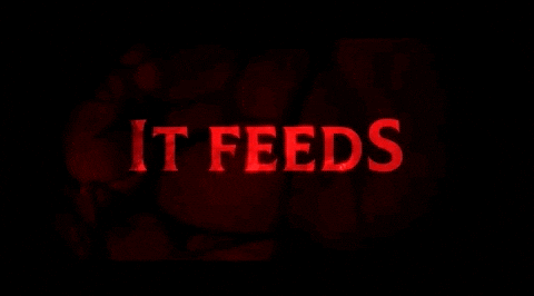 Movie Title Horror Movies GIF by Signature Entertainment