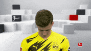 Line Up Hello GIF by Bundesliga