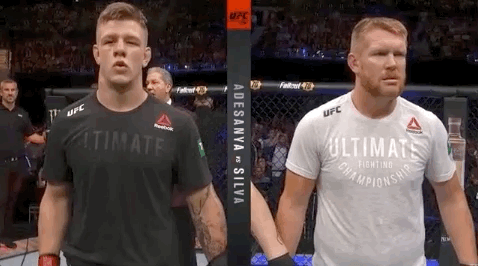 ufc fight night sport GIF by UFC