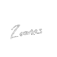 zoemysd zoomies zoemysd Sticker