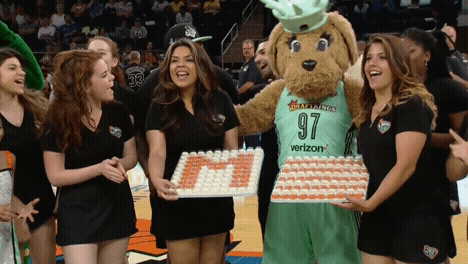 new york liberty GIF by WNBA