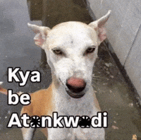 Dog Kya Be GIF