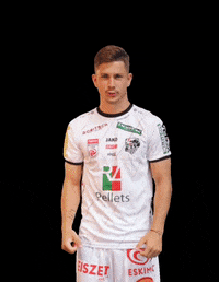 Wac Schmid GIF by Wolfsberger AC