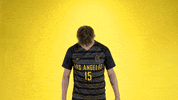 Cal State La Soccer GIF by Cal State LA Golden Eagles
