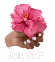 Flower Hand Sticker by Aloha Sunset