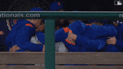 Celebrate David Peterson GIF by New York Mets
