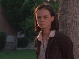 season 4 netflix GIF by Gilmore Girls 