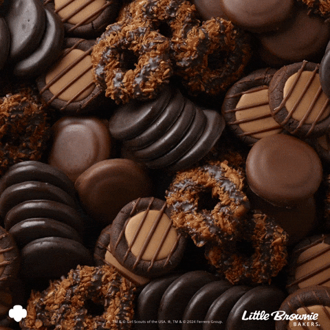 littlebrowniebakers chocolate cookies coconut caramel GIF