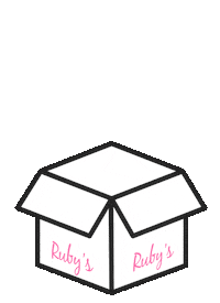 Caixa Recebidos Sticker by Rubys