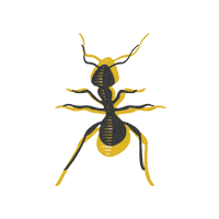 fivefootant ant Sticker