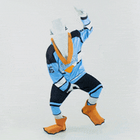 PelicansFi dance hockey fortnite mascot GIF