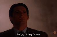 Season 2 Episode 21 GIF by Twin Peaks on Showtime