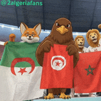2Algeriafans GIF