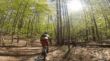 Mountain Bike Mtb GIF by PureADK