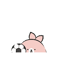 Soccer Rabbit Sticker by Miniso Canada