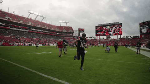 Football Win GIF by New England Patriots