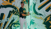 Baseball Bison GIF by NDSU Athletics