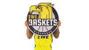 Ewe Baskets Bbl Sticker by EWE Baskets Oldenburg