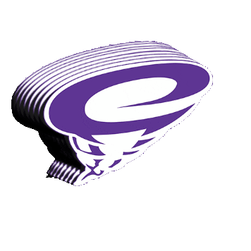 ccscyclones north carolina wilson ccs cyclones Sticker