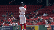 Red Sox Baseball GIF by MLB