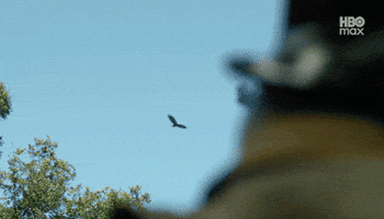 Michael Rooker Peacemaker GIF by HBO Max