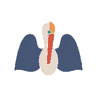 Pelicans Sticker by Acadiana Center for the Arts