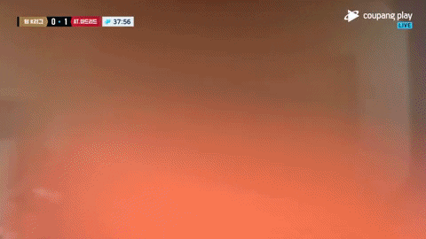 highansol93 giphyupload GIF