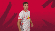 Willi Orban Sport GIF by RB Leipzig